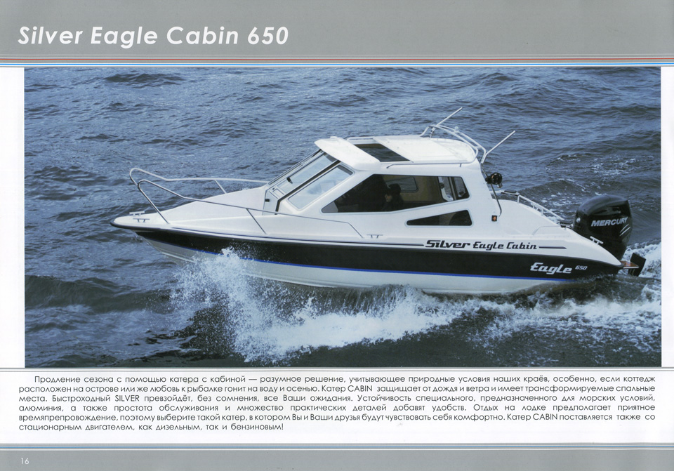 Silver Eagle Cabin 650