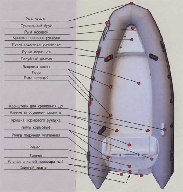 « RIB»  rib 