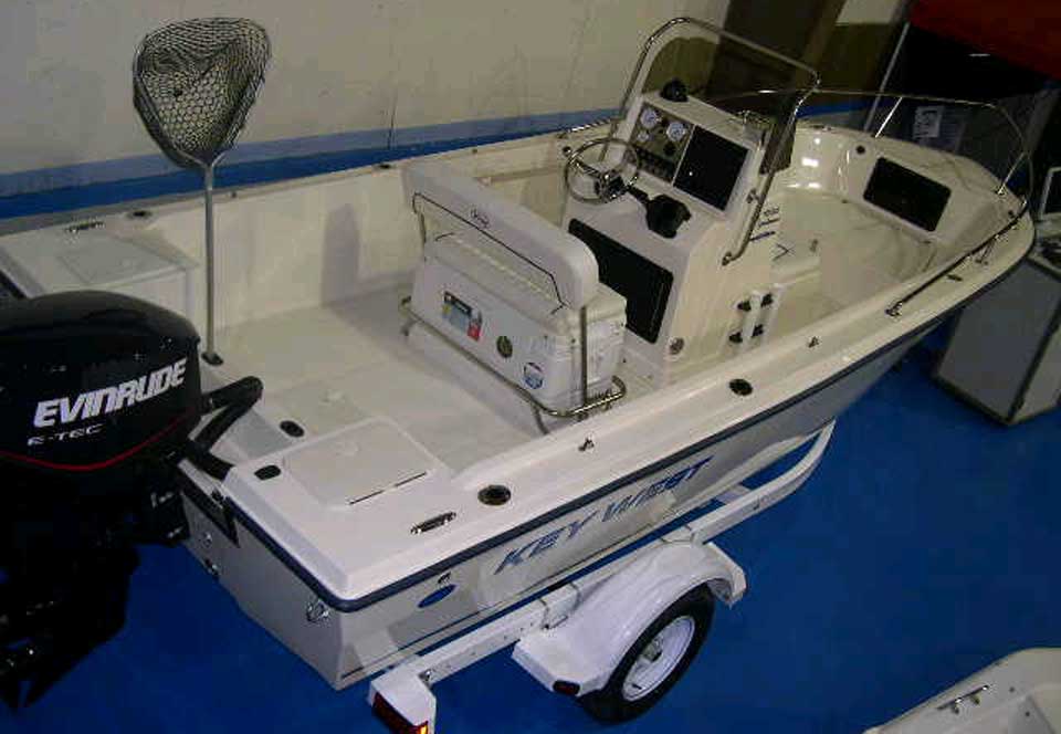  Evinrude 115