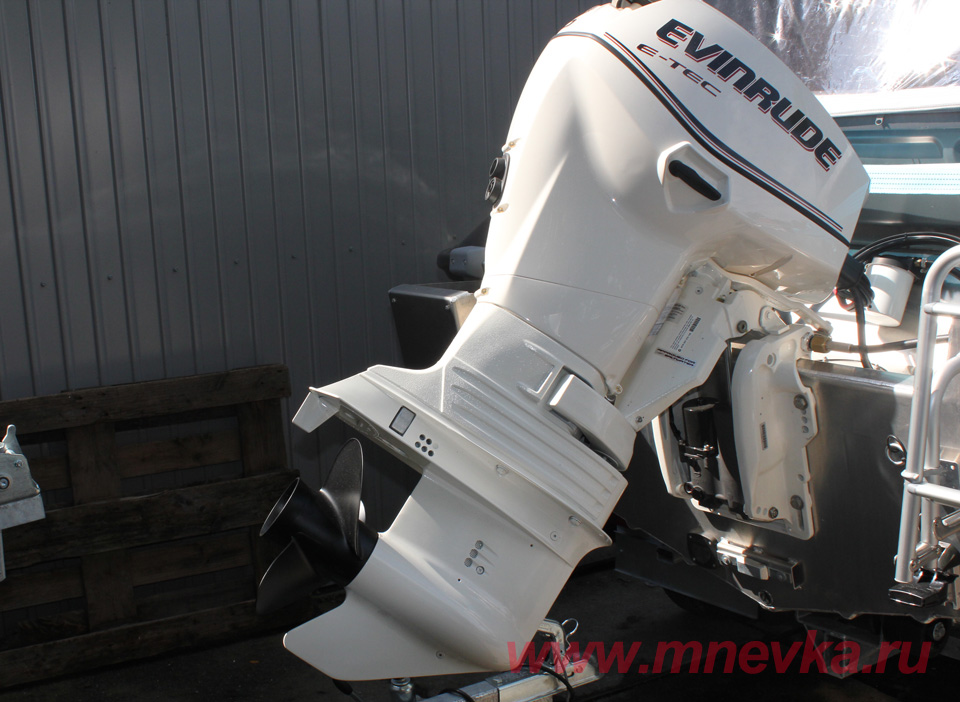 Evinrude E60DSL