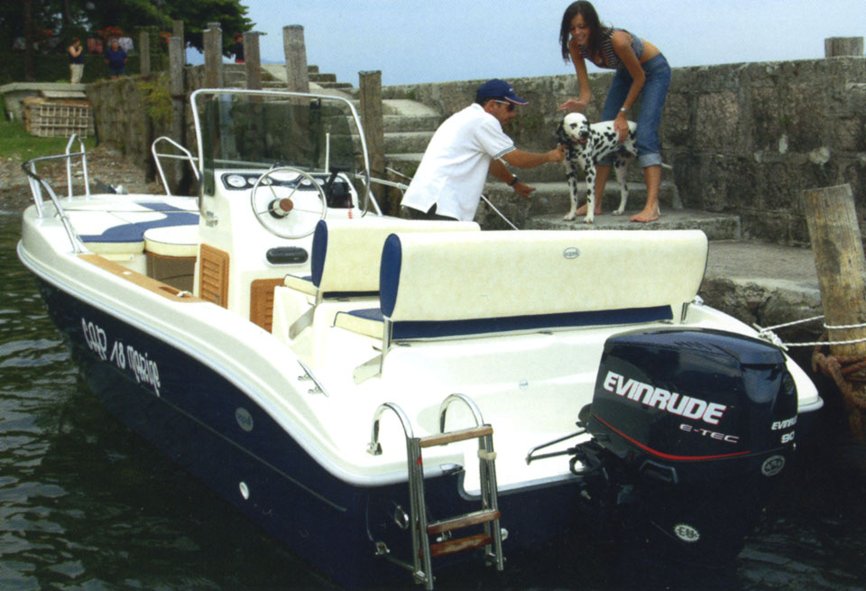  Evinrude E90 DPL E-TEC