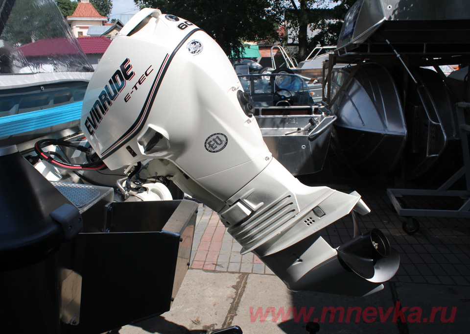  Evinrude E60 DSL