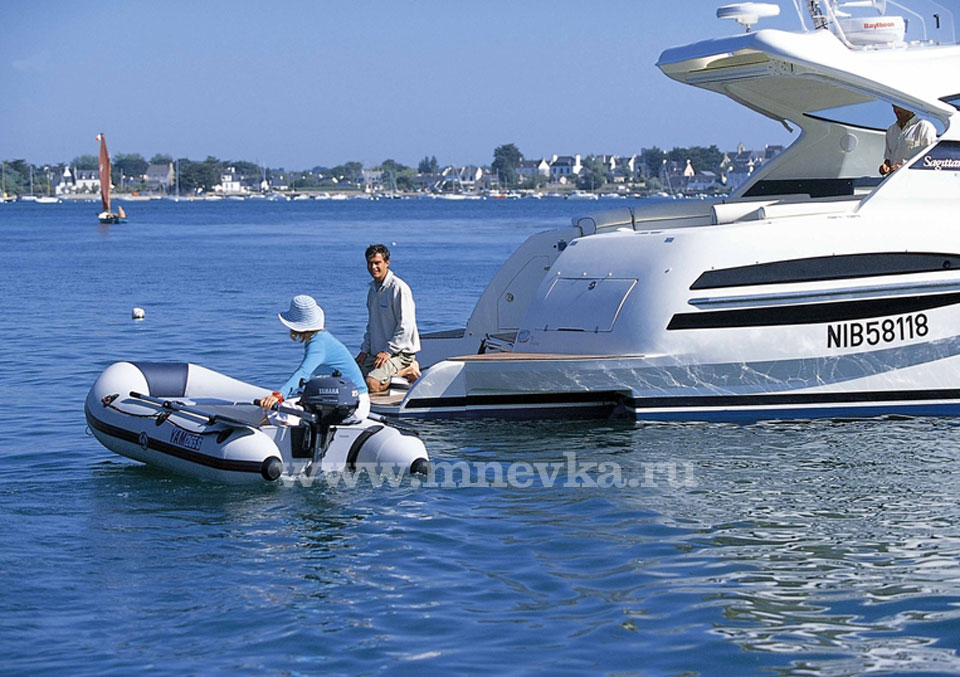  yamaha f2.5 amhs