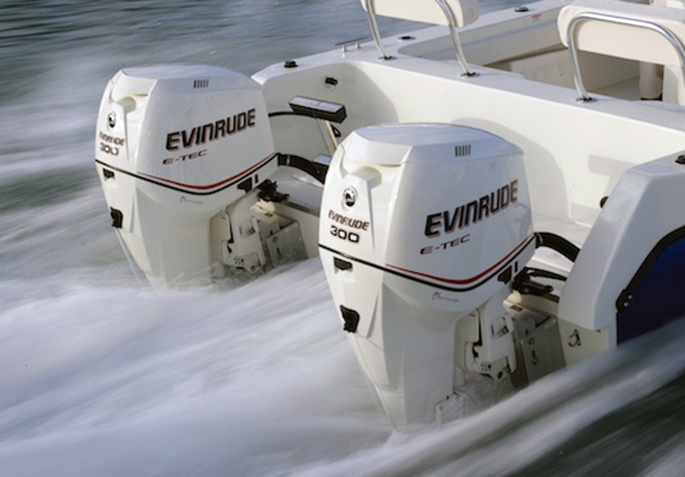   Evinrude e-300