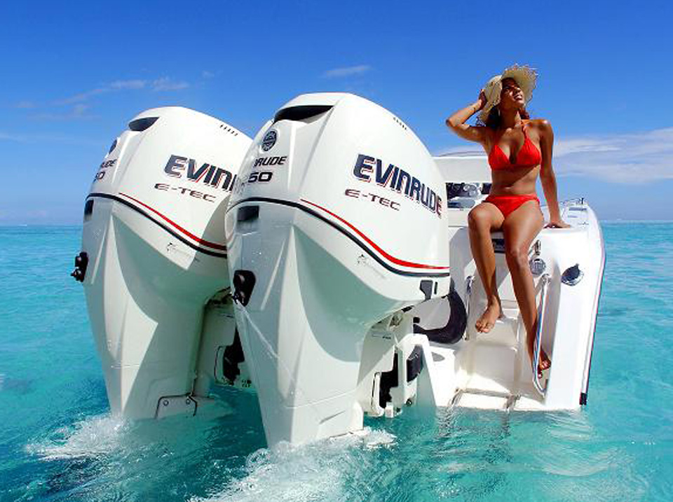 Evinrude e300   