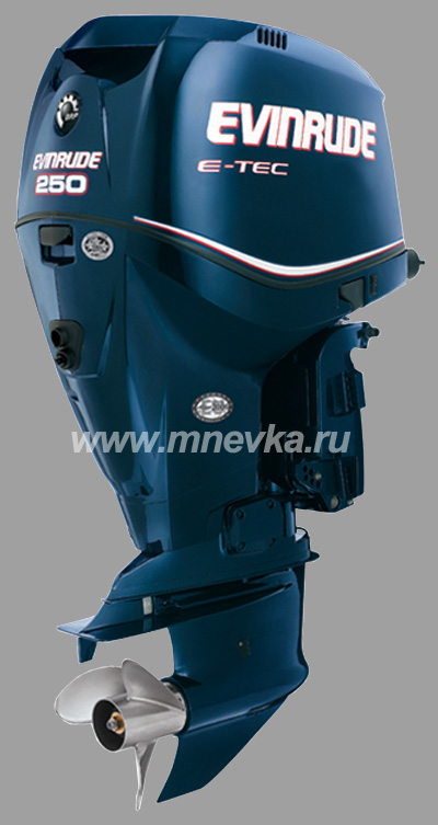  Evinrude E-250  2012,  