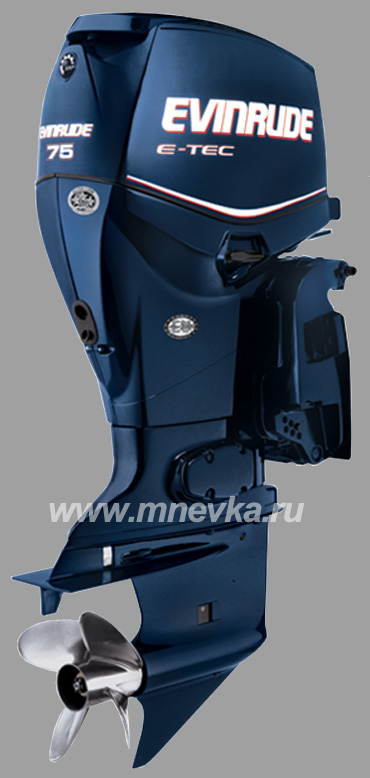   Evinrude E-75 E-TEC 2012, blue color