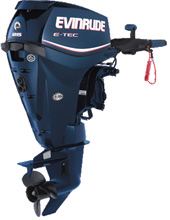 evinrude 25 ..,  