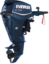 evinrude 30 ..,  