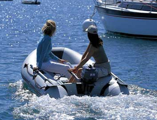 yamaha f 2.5 hp