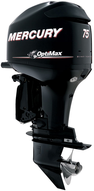 Mercury 75 elpt optimax  