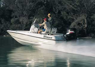 suzuki df115-TL boat Triton