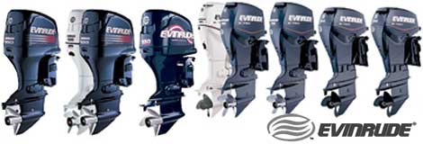    Evinrude