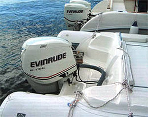 evinrude 2006